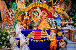 Daily Darshan
