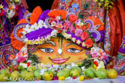 Daily Darshan