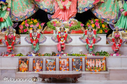 Daily Darshan