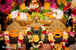 Daily Darshan