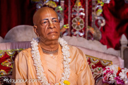 Daily Darshan