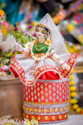 Daily Darshan