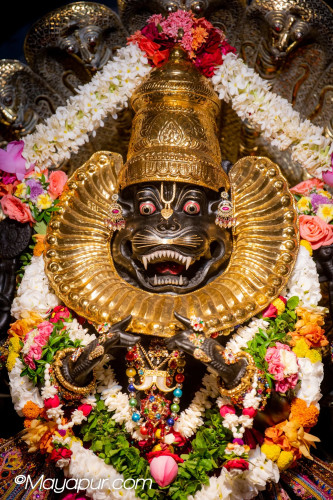 Daily Darshan