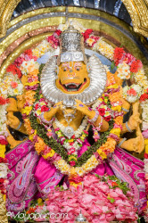 Daily Darshan
