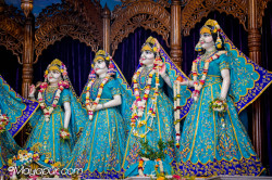 Daily Darshan