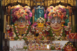 Daily Darshan