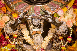 Daily Darshan