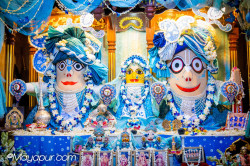 Daily Darshan