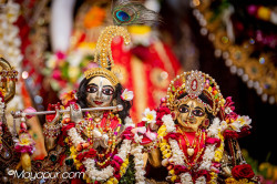 Daily Darshan