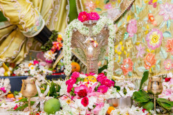 Daily Darshan