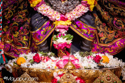 Daily Darshan