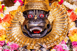 Daily Darshan