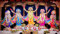 Daily Darshan