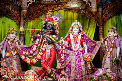 Daily Darshan