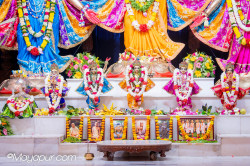 Daily Darshan