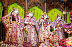 Daily Darshan