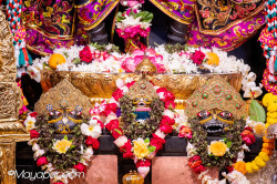 Daily Darshan