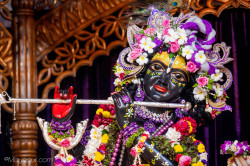 Daily Darshan