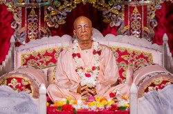 Daily Darshan