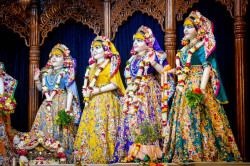 Daily Darshan