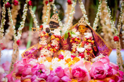 Daily Darshan