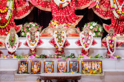 Daily Darshan