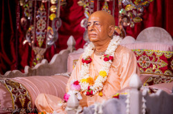 Daily Darshan
