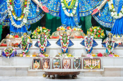 Daily Darshan