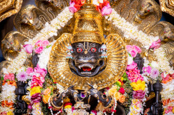 Daily Darshan