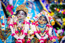 Daily Darshan