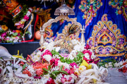 Daily Darshan
