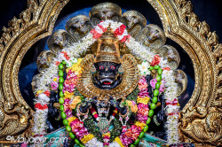 Daily Darshan