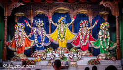 Daily Darshan