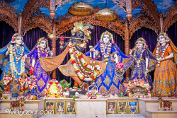 Daily Darshan
