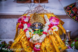 Daily Darshan
