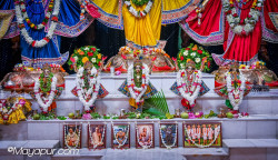 Daily Darshan