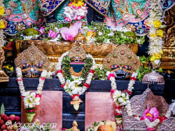 Daily Darshan
