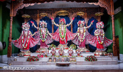 Daily Darshan