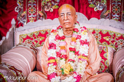 Daily Darshan