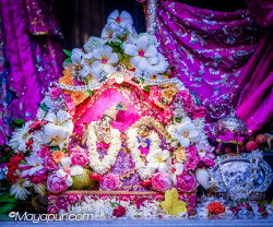 Daily Darshan