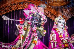 Daily Darshan