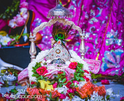 Daily Darshan