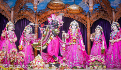 Daily Darshan