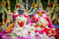 Daily Darshan