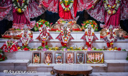Daily Darshan
