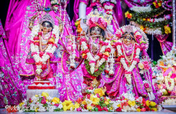 Daily Darshan