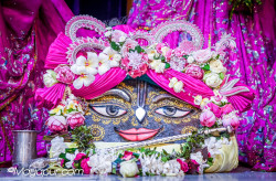 Daily Darshan