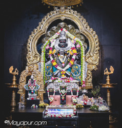 Daily Darshan