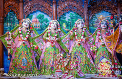 Daily Darshan