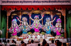Daily Darshan